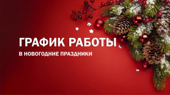 График работы врачей поликлиники в новогодние праздничные и выходные дни.