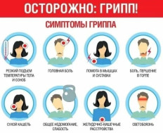 Грипп, симптомы и профилактика
